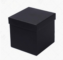 TDBZH01