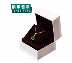 YL67 pendant box