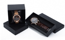 BSH02 watch box