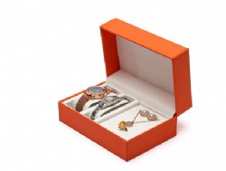 BSH10 watch box