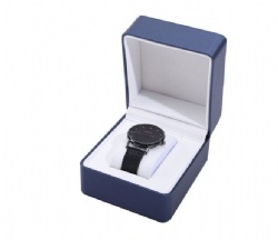 BSH12 watch box