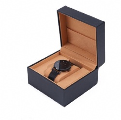 BSH13 watch box