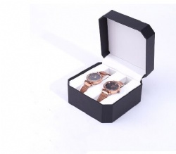 BSH15 watch box