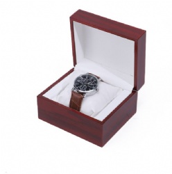 BSH16 watch box