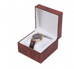 BSH17 watch box