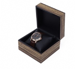 BSH18 watch box