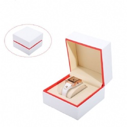 BSH19 watch box