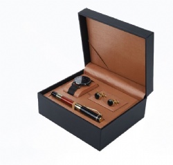 BSH20 watch box