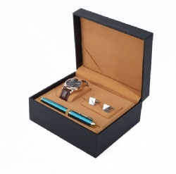 BSH21 watch box