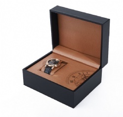 BSH22 watch box