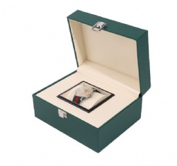 BSH25 watch box