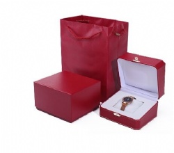 BSH31 watch box