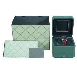 BSH34 watch box