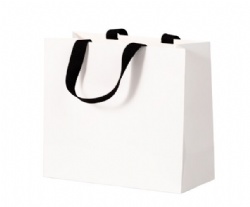 JSH01 paper gift bag